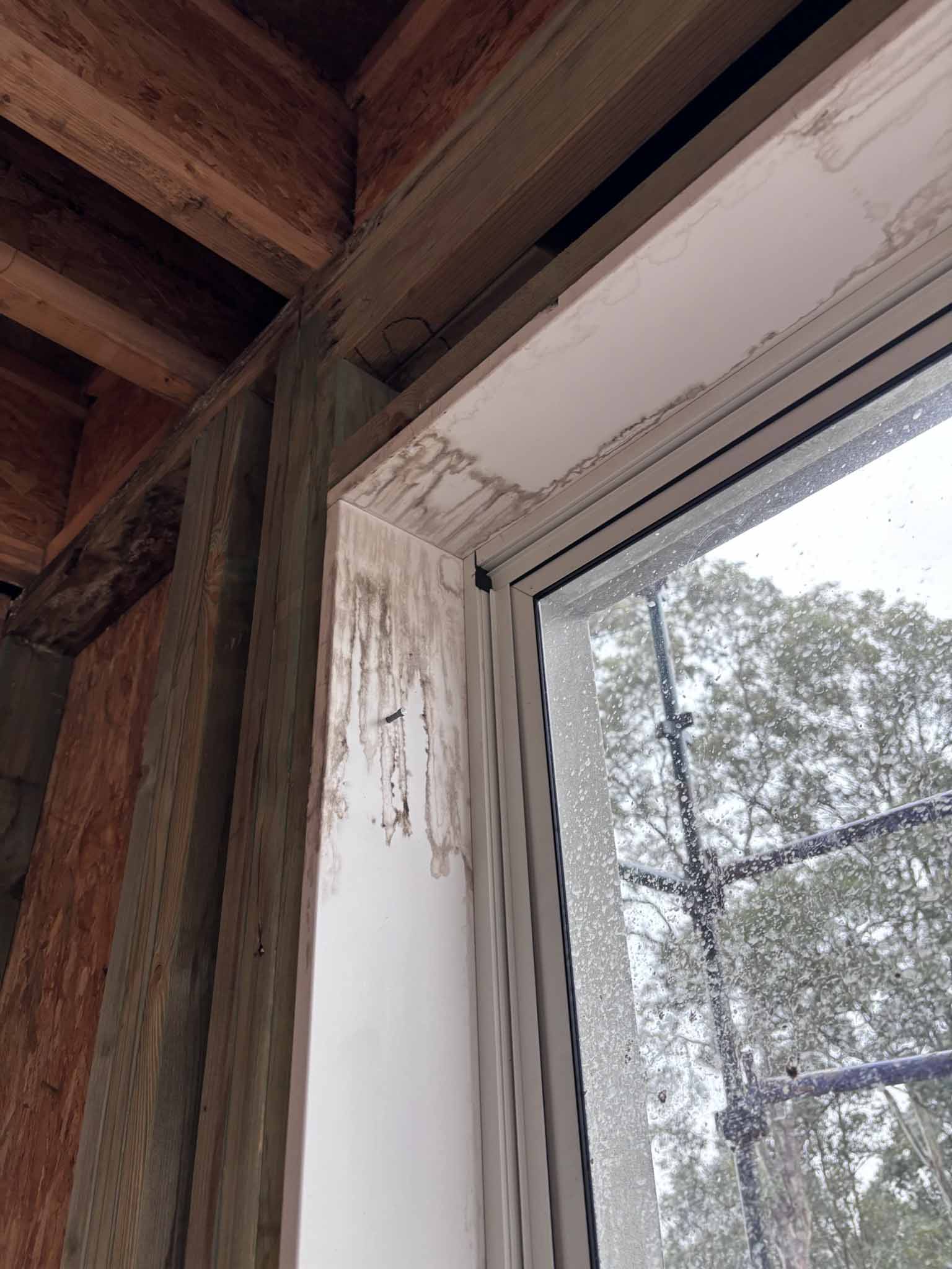 Construction mould remediation