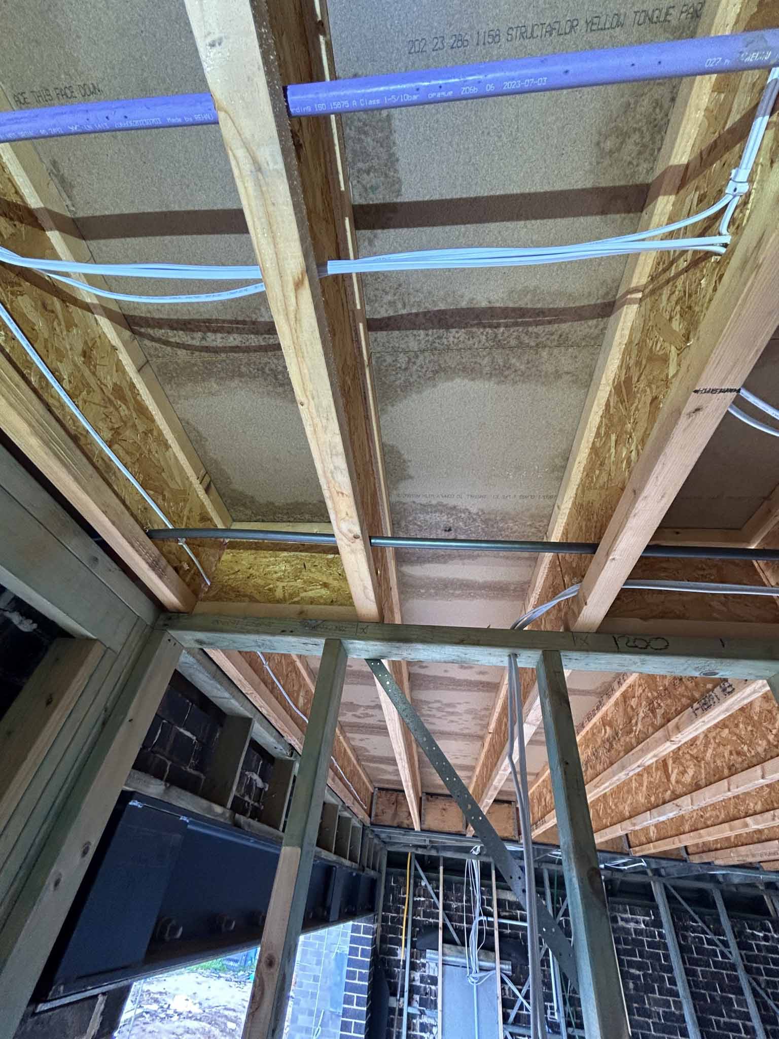 Timber frame mould treatment