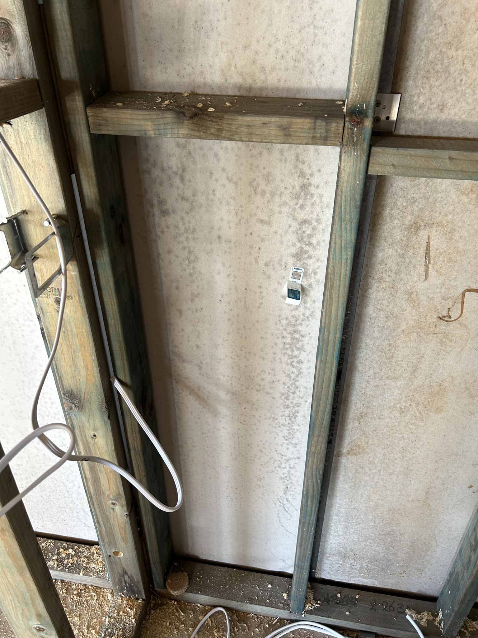 Construction mould removal process