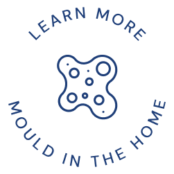 Cavity mould across Sydney property types