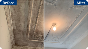 Ceilings & Walls