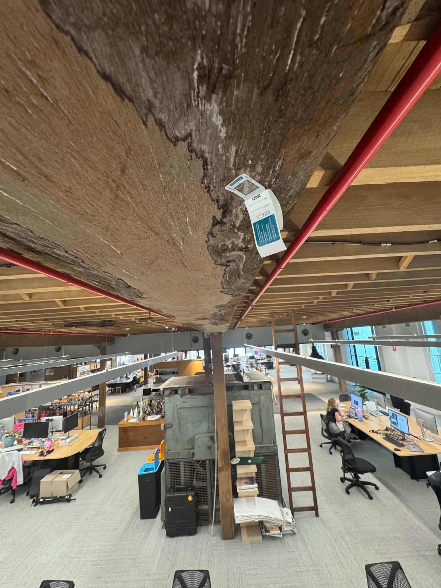 Mould removal from commercial offices