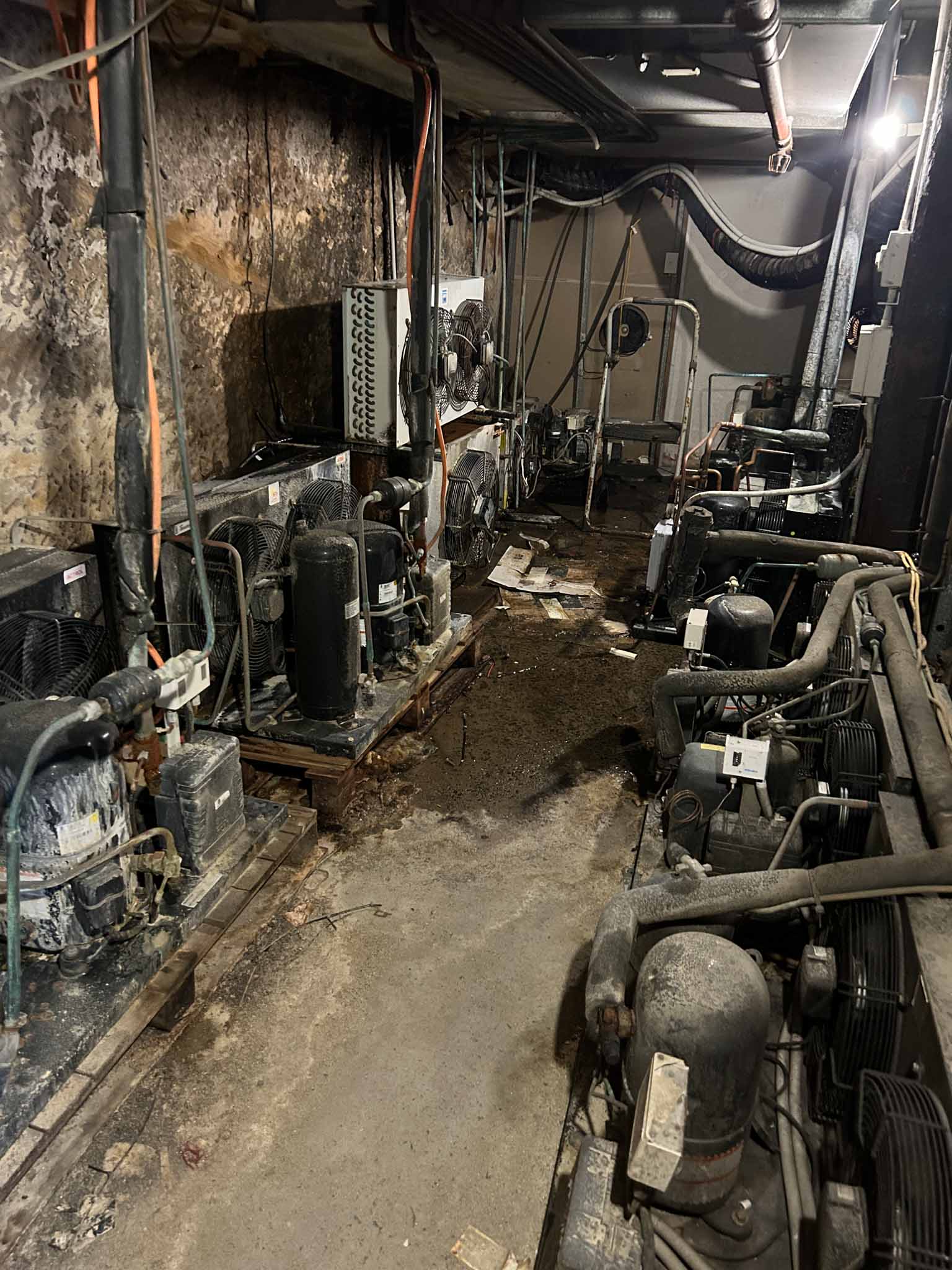 Mould removal from factories & warehouses