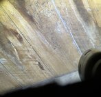 Mould removal from sub-floors