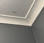 Mould removal from wall & ceiling cavities