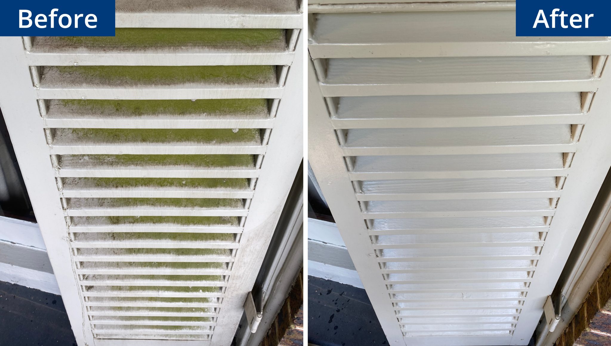 Windows & Shutters