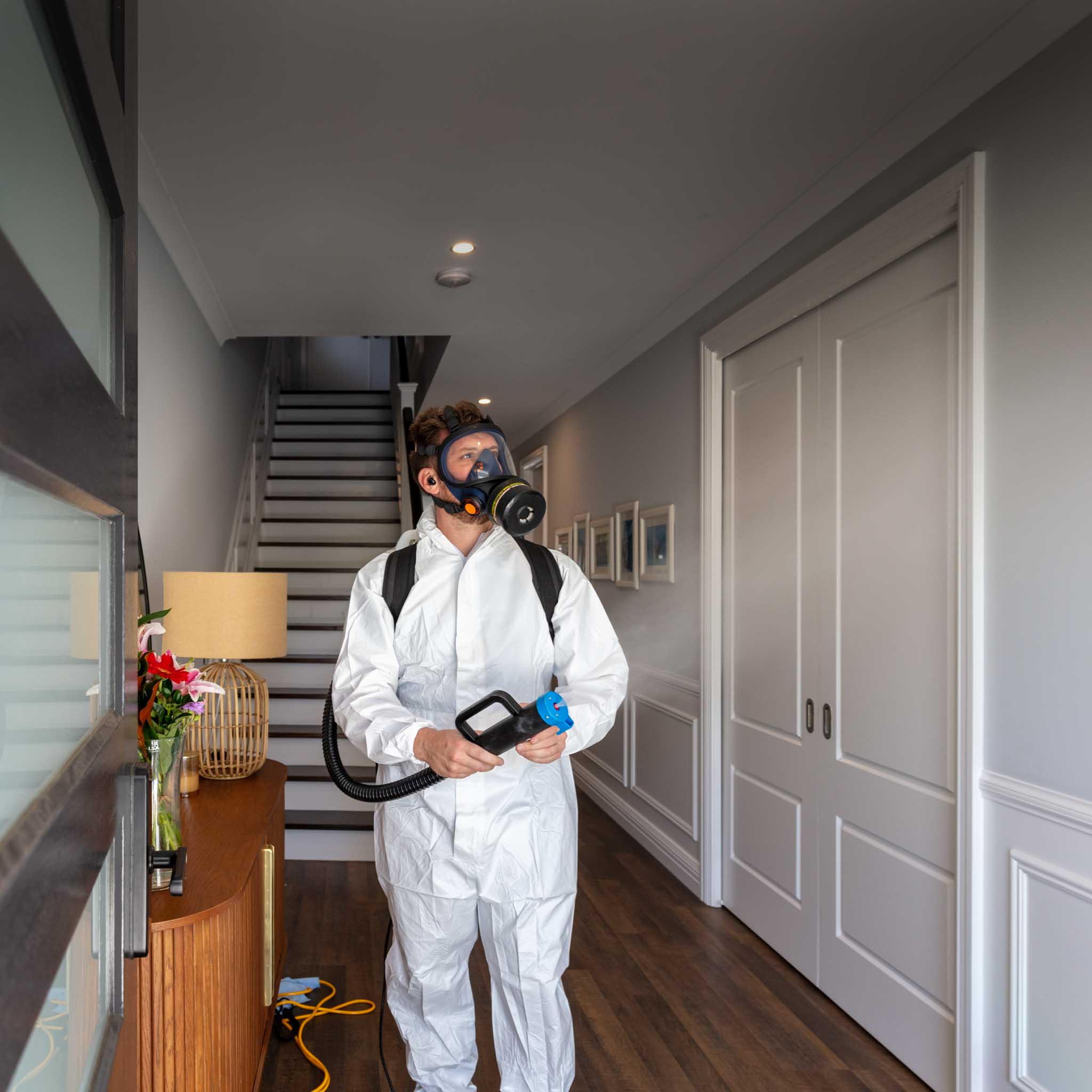 Residential Mould Removal Nanotise